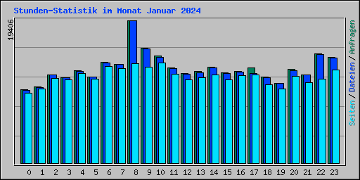 Stunden-Statistik im Monat Januar 2024