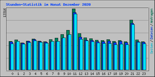 Stunden-Statistik im Monat Dezember 2020