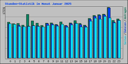 Stunden-Statistik im Monat Januar 2025
