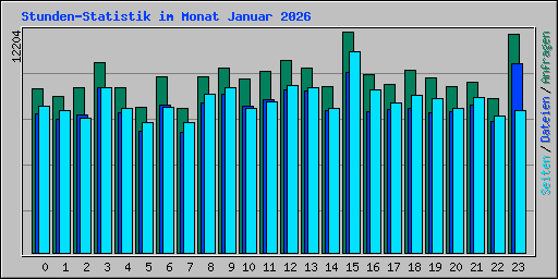 Stunden-Statistik im Monat Januar 2026